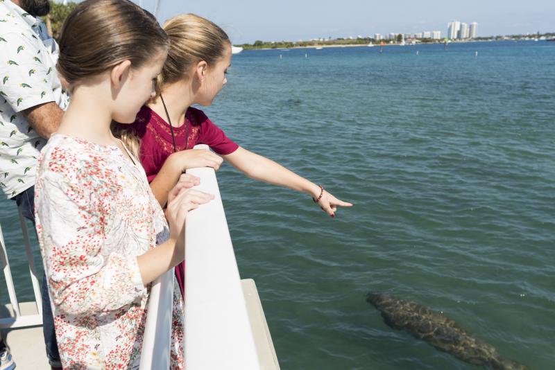 Two girls looking at Manatee from watching deck. 