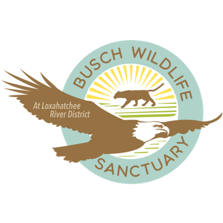 Busch Wildlife Logo