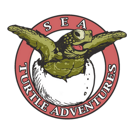 Sea Turtle Adventures Logo