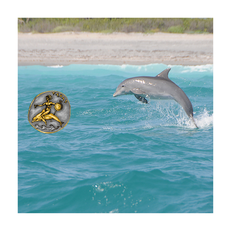 Tara Oceanographic Foundation/PBC Dolphin Project Logo