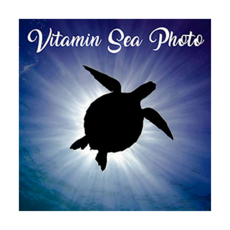 Vitamin Sea Photo Logo