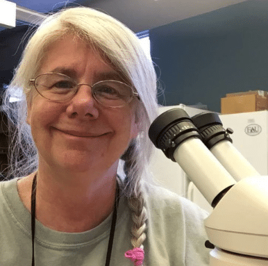 January Lecture “Foraminifera: Evolution, Ecology, and Symbiosis