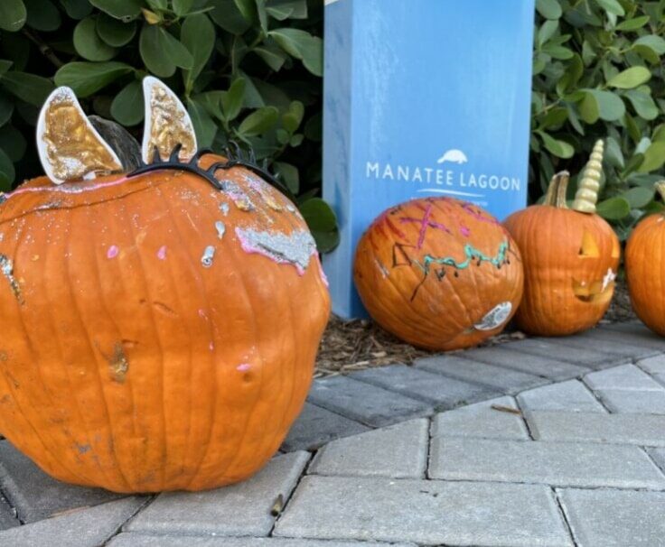 MIA’S SPOOKTACULAR HALLOWEEN PARTY - Manatee Lagoon