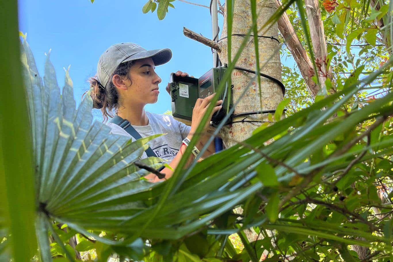 Learn to Love Bats! Manatee Lagoon